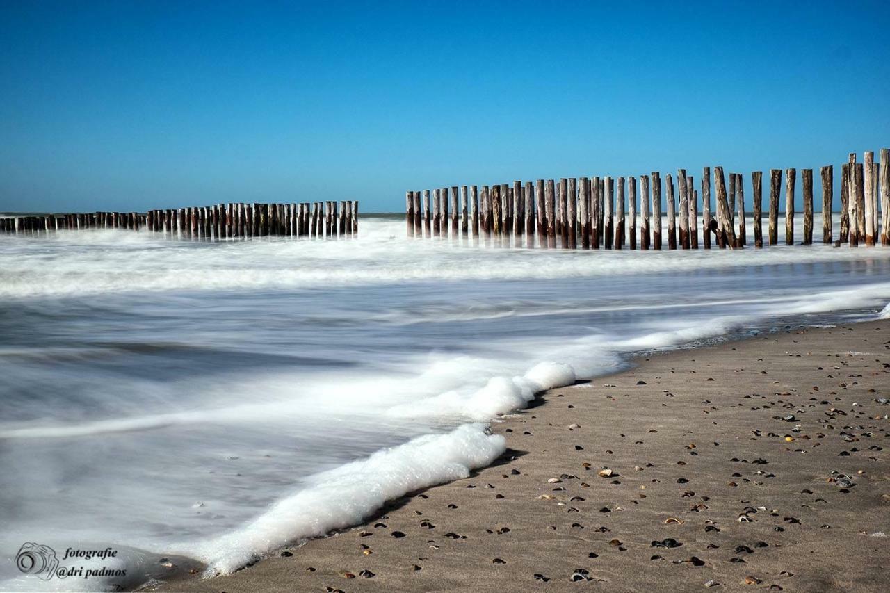 Hogezoom 131 Villa Renesse Dış mekan fotoğraf
